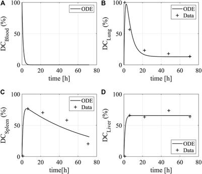 Multi-Level Computational Modeling of Anti-Cancer Dendritic Cell Vaccination Utilized to Select Molecular Targets for Therapy Optimization